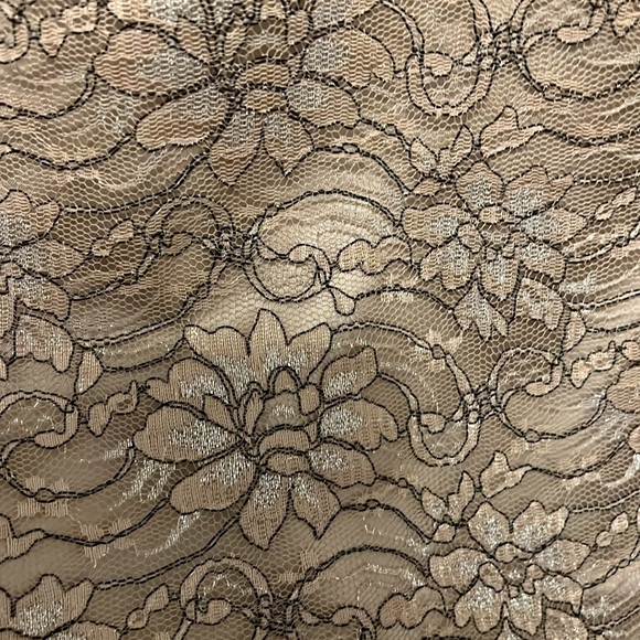 Banana Republic Champagne Metallic Lace Style Dress w Black Waistband Size 10 - Picture 8 of 10